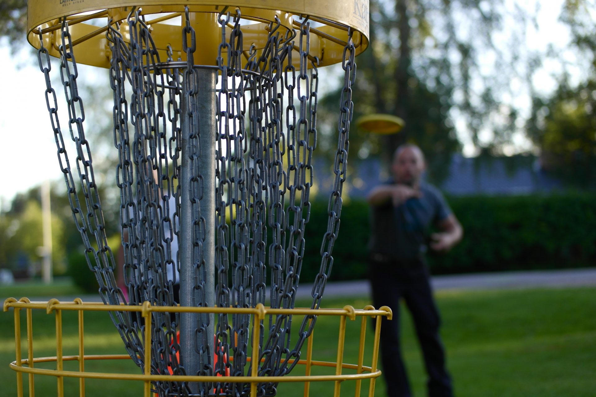 Frisbee-golfaamista.