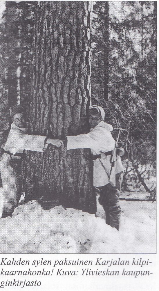 Kuva Osmo Lampovaaran teoksesta esittää Karjalan kilpikaarnahonkaa, jonka ympärille juuri kahden miehen kädet ulottuvat.