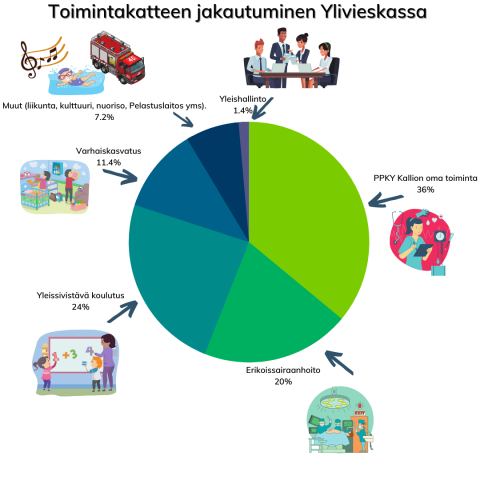 Toimintakatteen jakautuminen Ylivieskassa