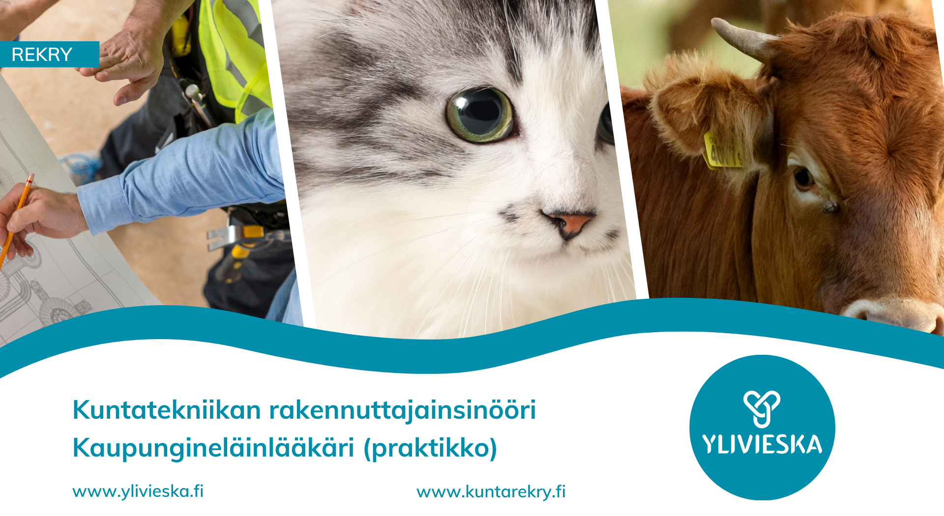 Ylivieskan kaupunki rekrytoi rakennuttajainsinööriä ja eläinlääkäriä -ilmoitus