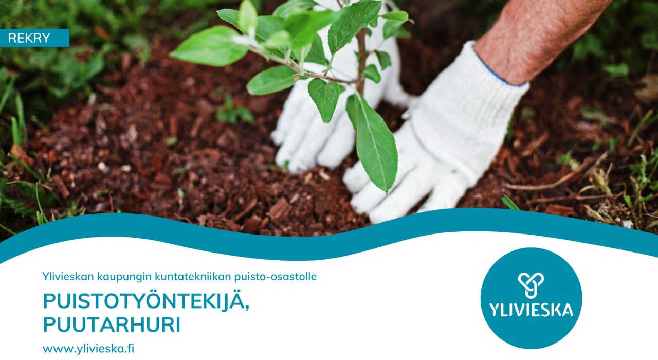 Ylivieskan kaupunki rekrytoi puistotyöntekijöitä ja puutarhureita -ilmoitus