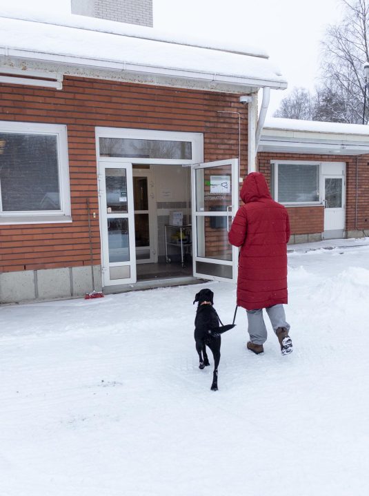Ihminen kävelee sisälle rakennukseen mustan koiran kanssa talvella. 