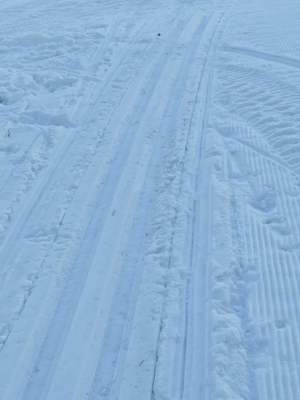 Hiihtoladun perinteisen ura