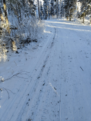 Hiihtolatu jossa paljon epäpuhtauksia