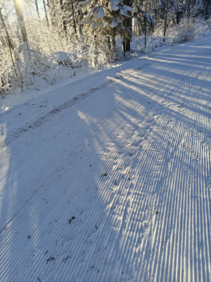 hiihtolatu jossa epäpuhtauksia