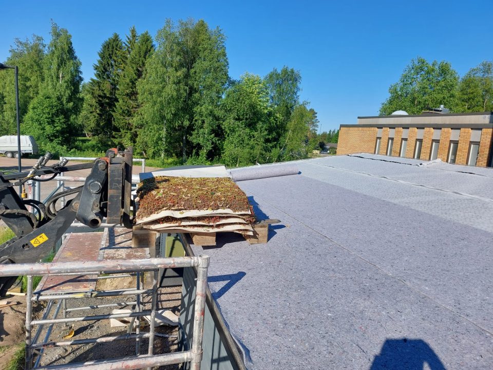 Kuvassa maksaruohomatot kuormalavan päällä asennusvaiheessa varastorakennuksen katolla.