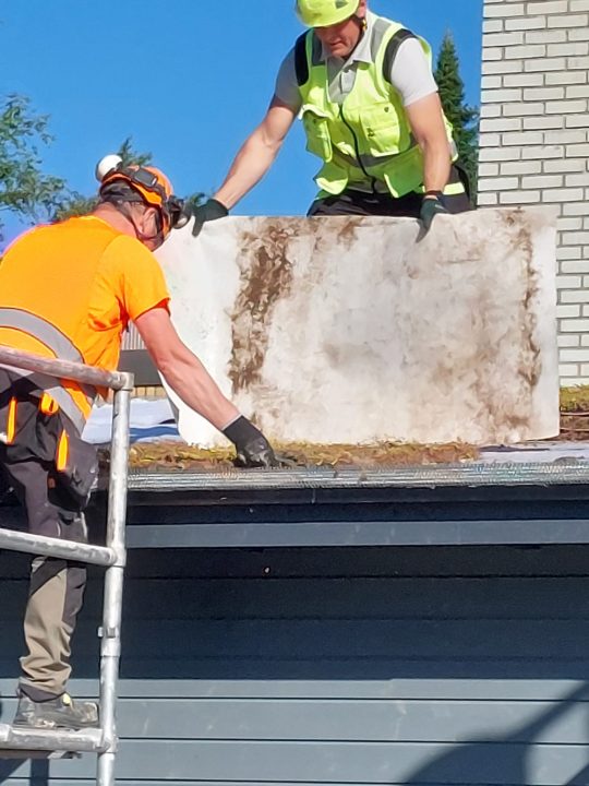 Kuvassa kaksi miestä asentaa maksaruohomattoa varastorakennuksen katolle.