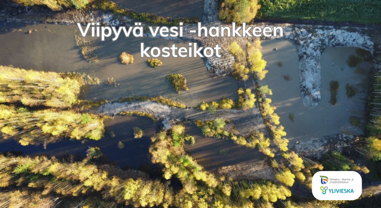 Viipyvä Vesi hankkeen kosteikot ovat valmistuneet. Kuva Mertuanojan kosteikosta